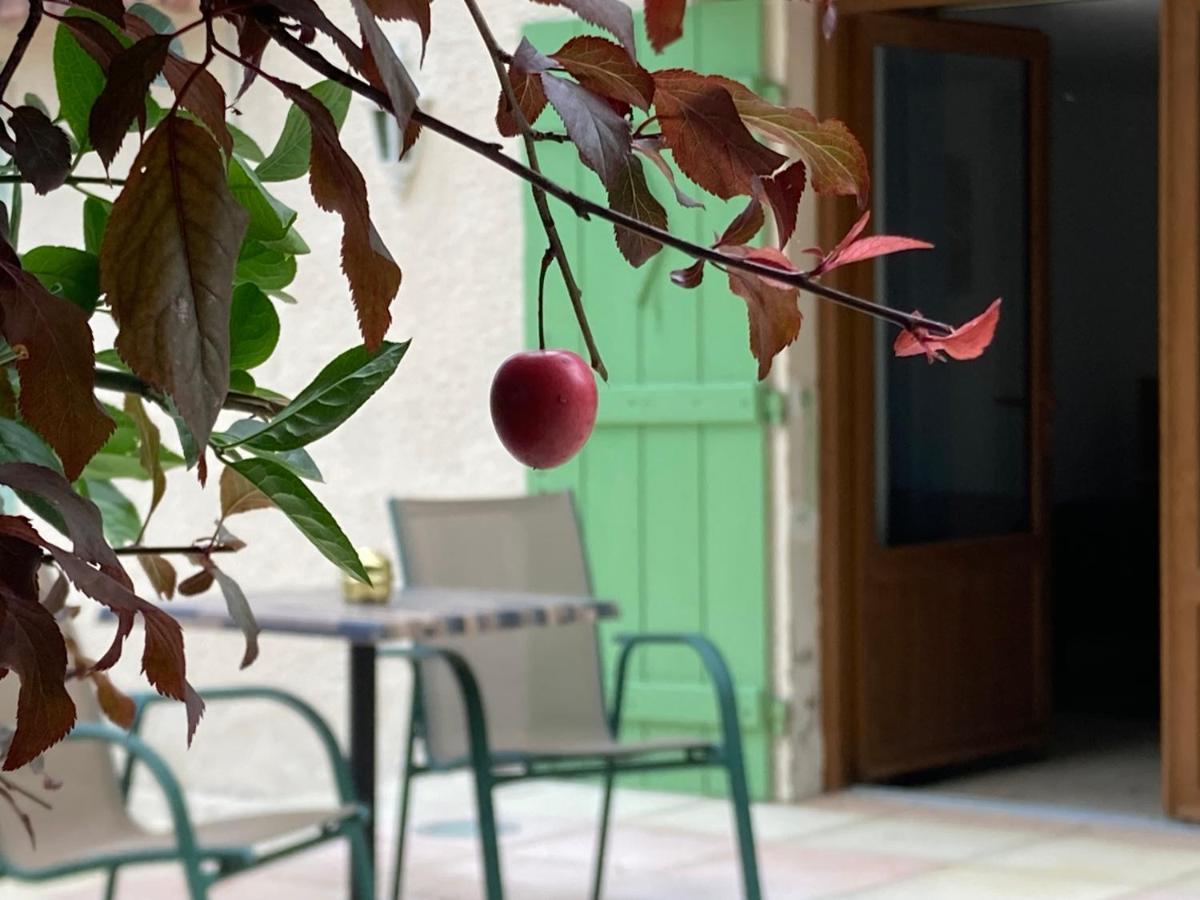 Apartament Pavillon De L'Etang Châteauneuf-du-Rhône Zewnętrze zdjęcie